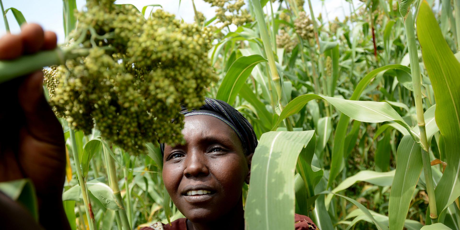 Climate-smart villages. Photo: C Schubert/CCAFS.