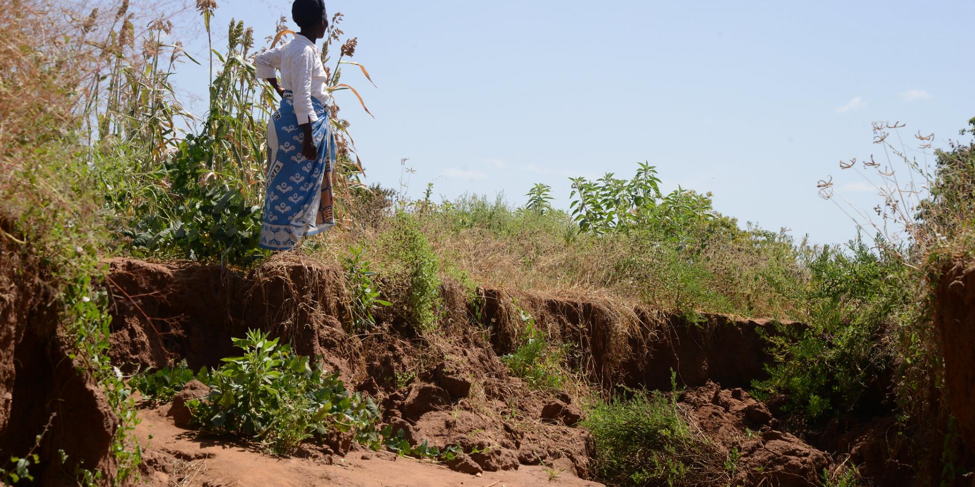 Pastor Grace Josphat viewing the gulley on her farm in Mwingi, Kenya. Photo: ICRAF.