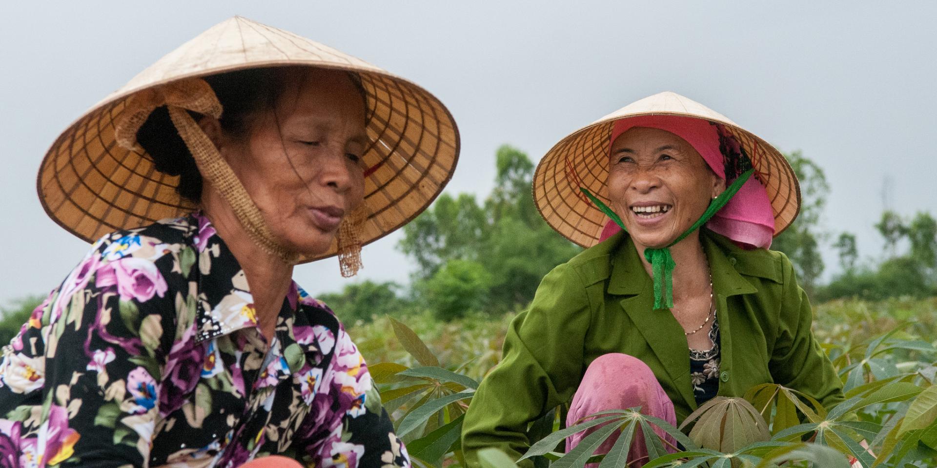 Farmers being trained on soil fertility in Vietnam. Photo: Georgina Smith/CIAT.