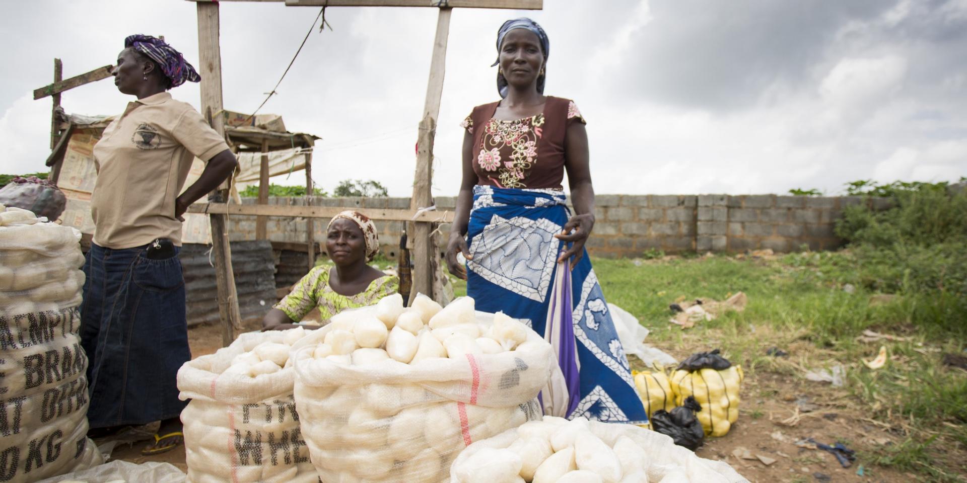 Woman sells fufu in a marketplace, Abuja - a staple food of many African and Caribbean countries. It is often made with a flour made from the cassava plant. Photo: Milo Mitchell/IFPRI.