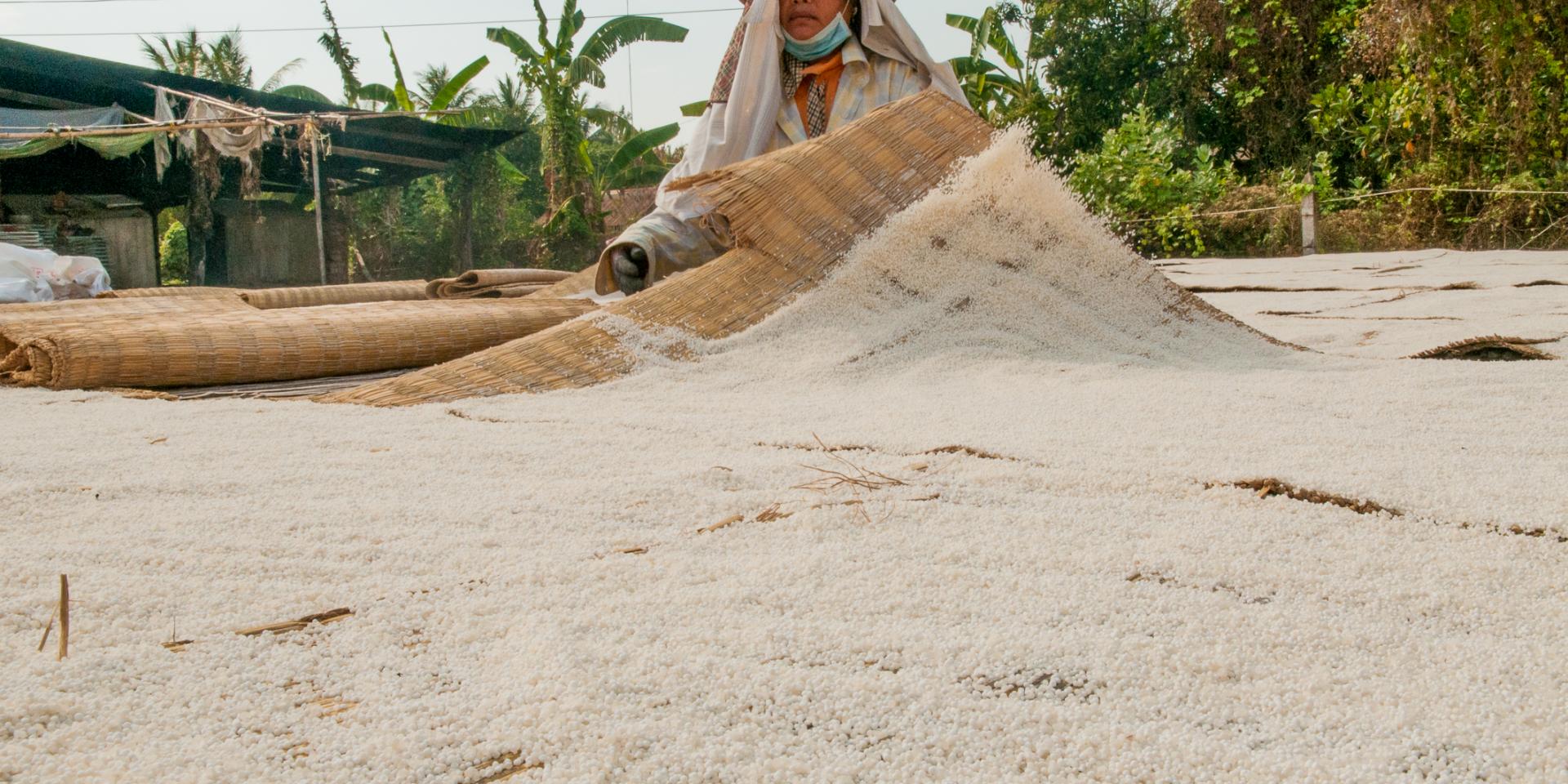 A woman dries rice. Photo: Georgina Smith/CIAT.
