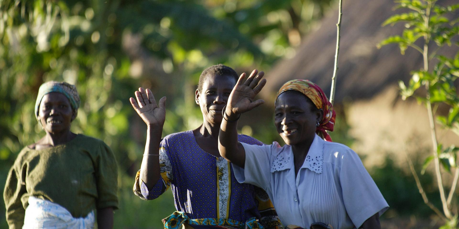 Women of Khulungira Village, in central Malawi. Photo: ILRI/Mann.