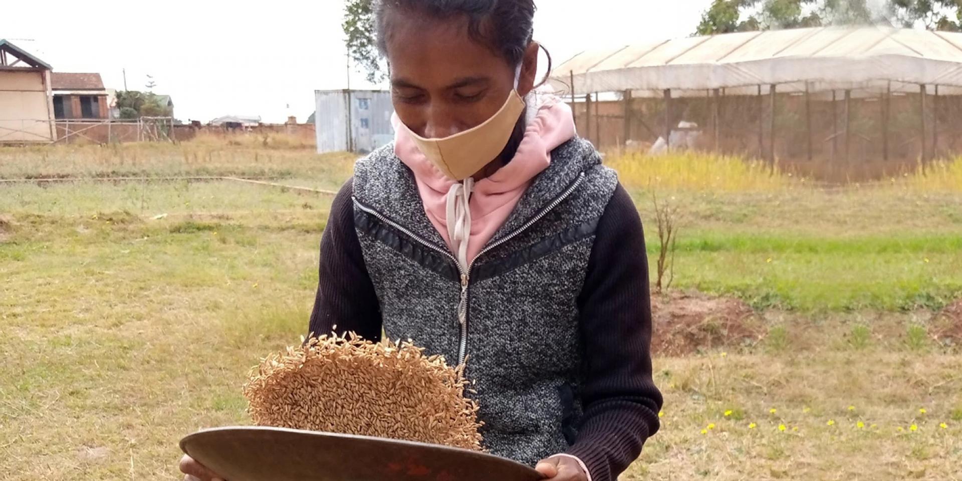 Woman sifting rice