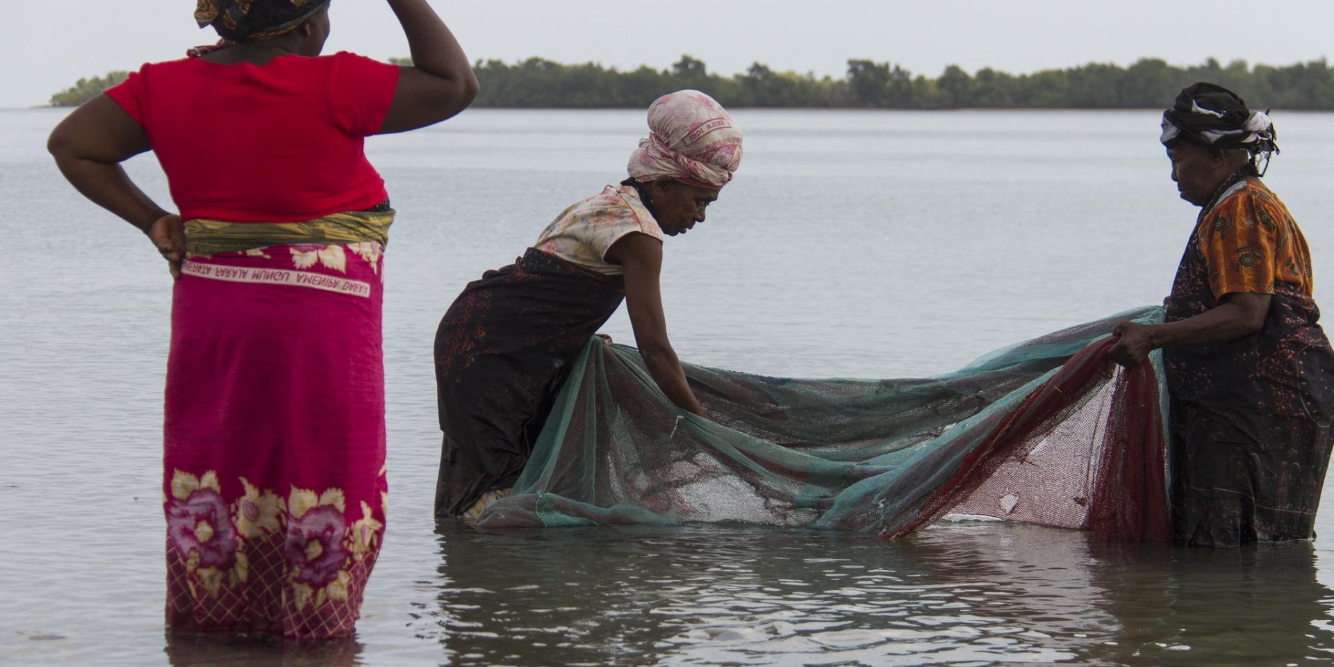 Working as a team; fisher women catching small fish and shrimp in Bagamoyo, Tanzania.