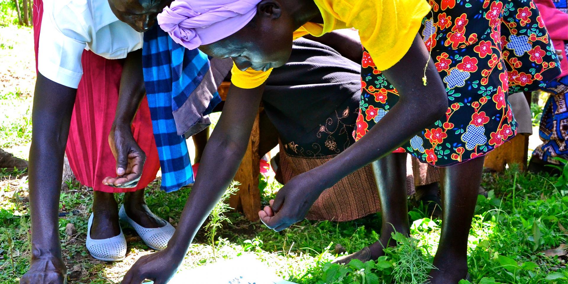 Women farmers in Kenya