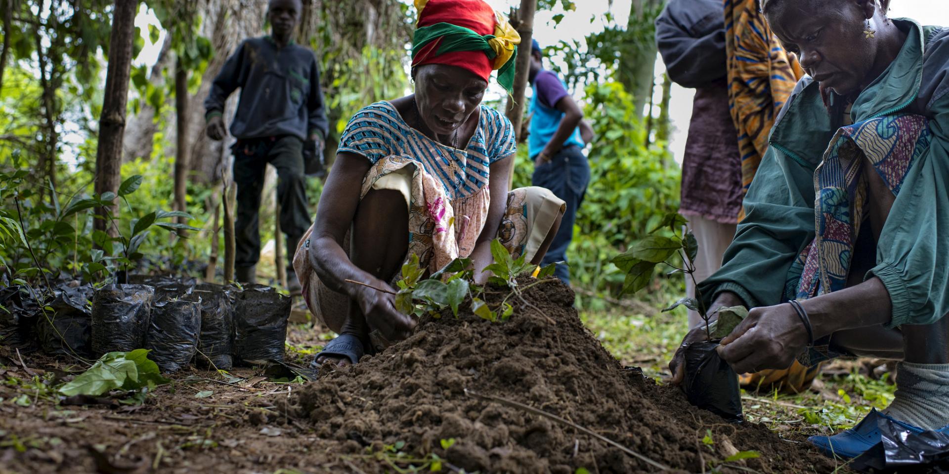 Land restoration