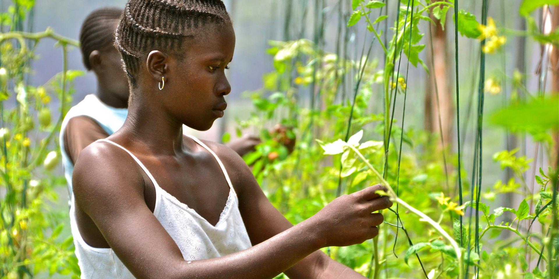 Climate-smart farmers in Western Kenya