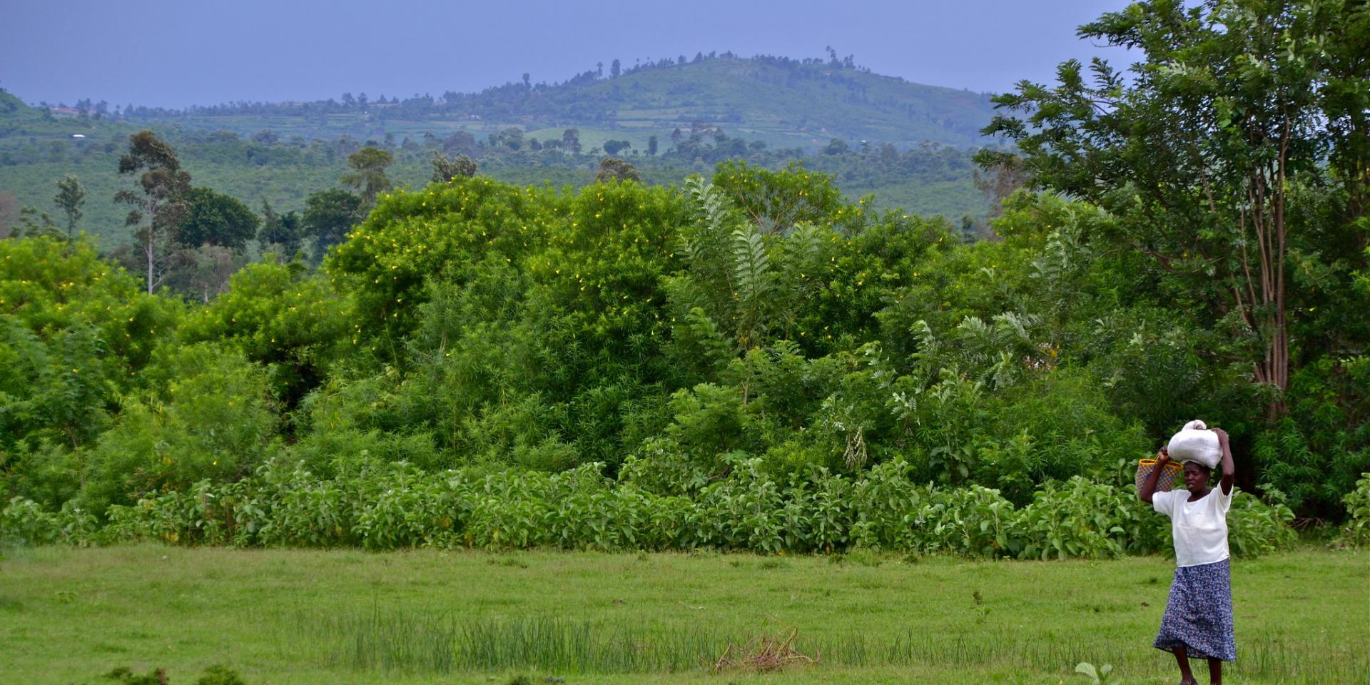 Woman crossing pasture in Kenya