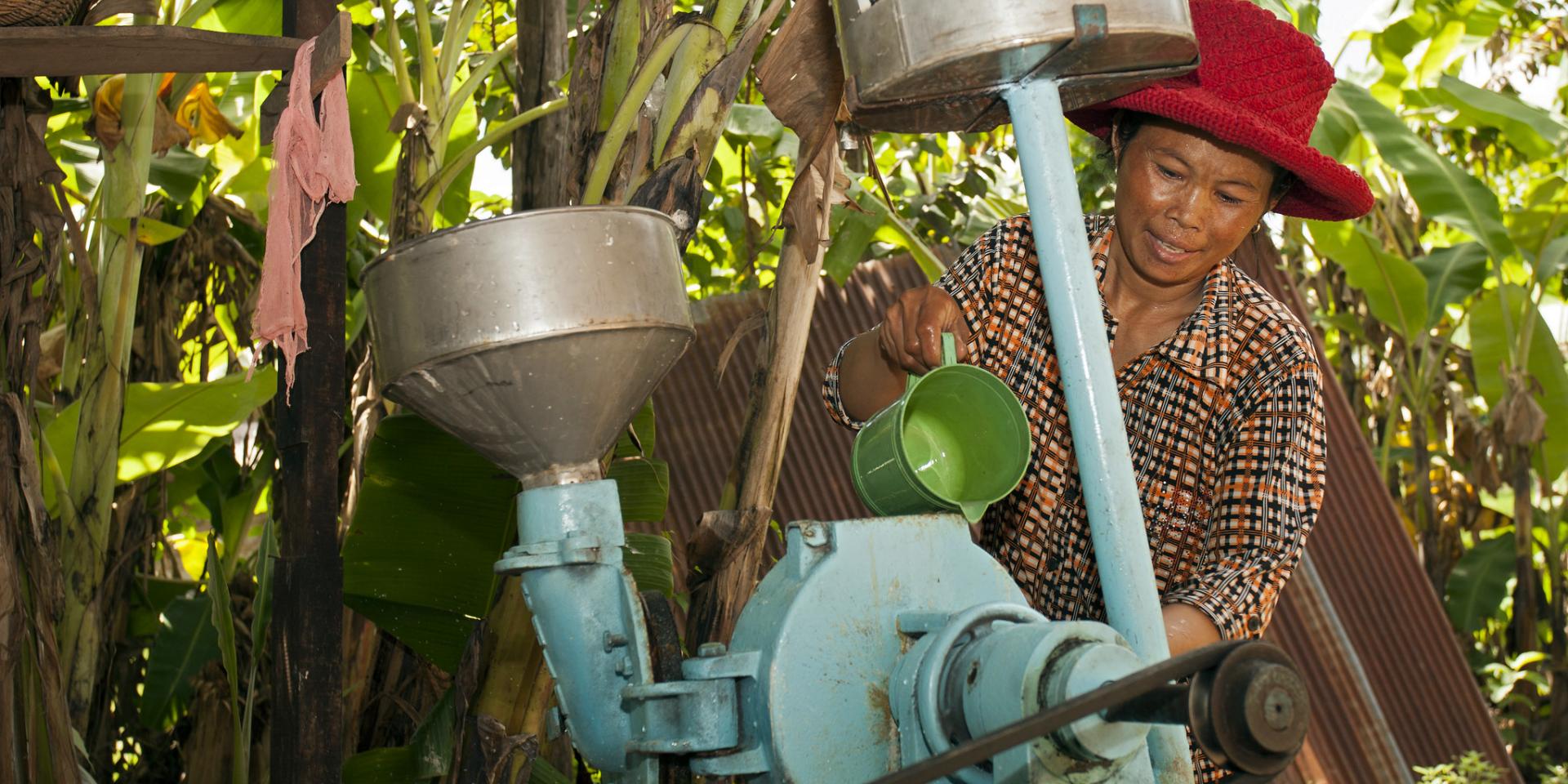 A woman uses a rice grinding machine