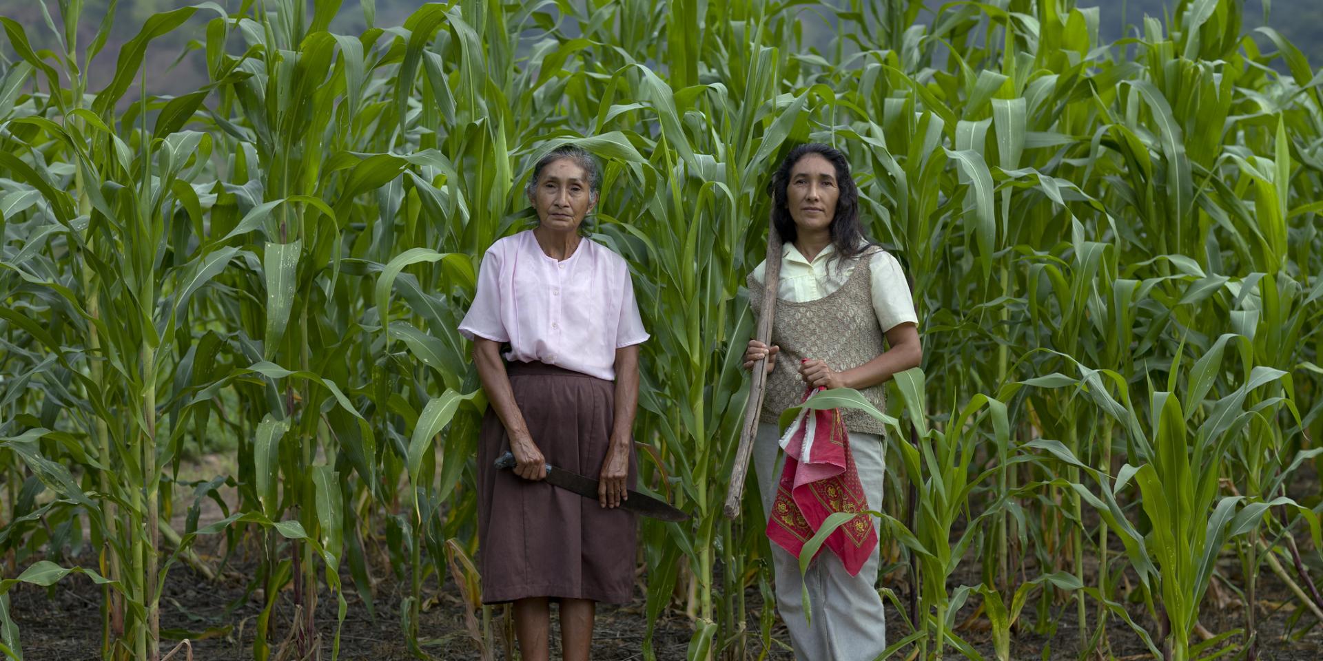 Women and agriculture