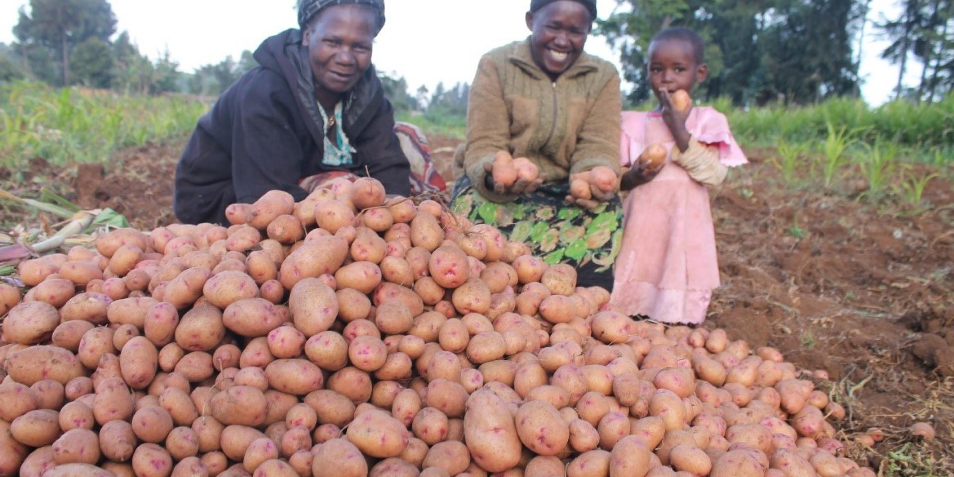Two women, a girl and potatoes
