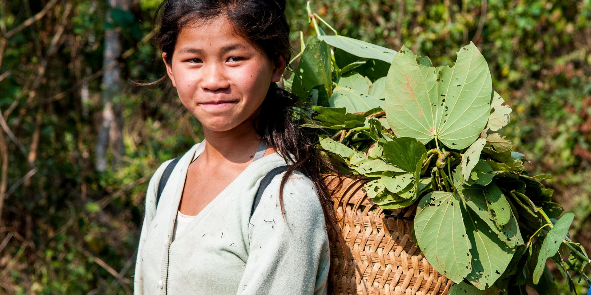 A young girl carries forage for livestock of greenery on a basked on her back