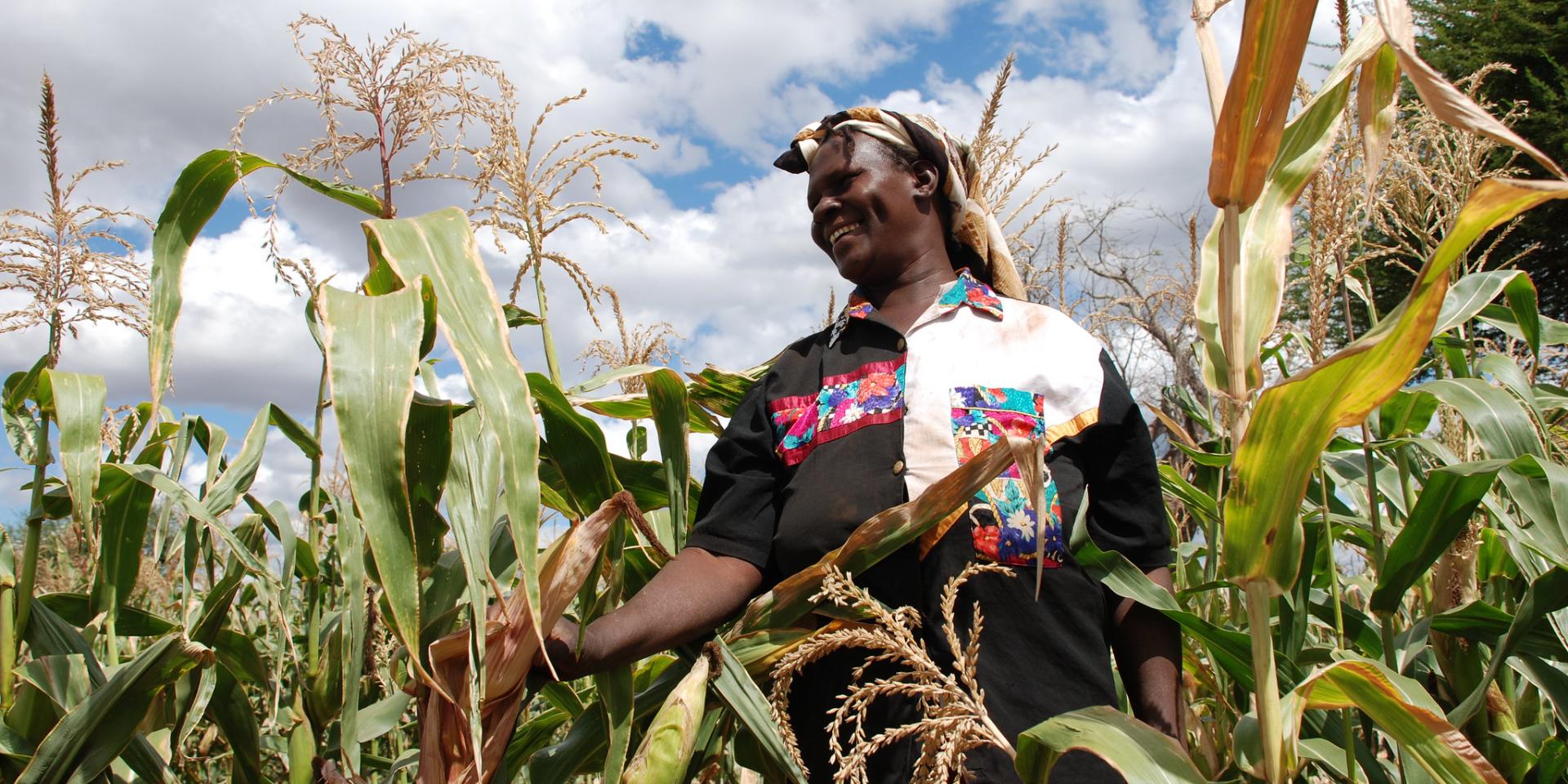 Maize farmer in Kenya