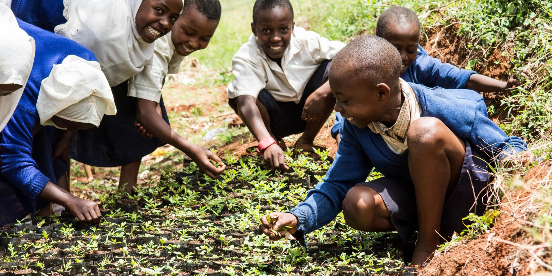 A school near Lushoto, Tanzania, where children are taught reforestation techniques