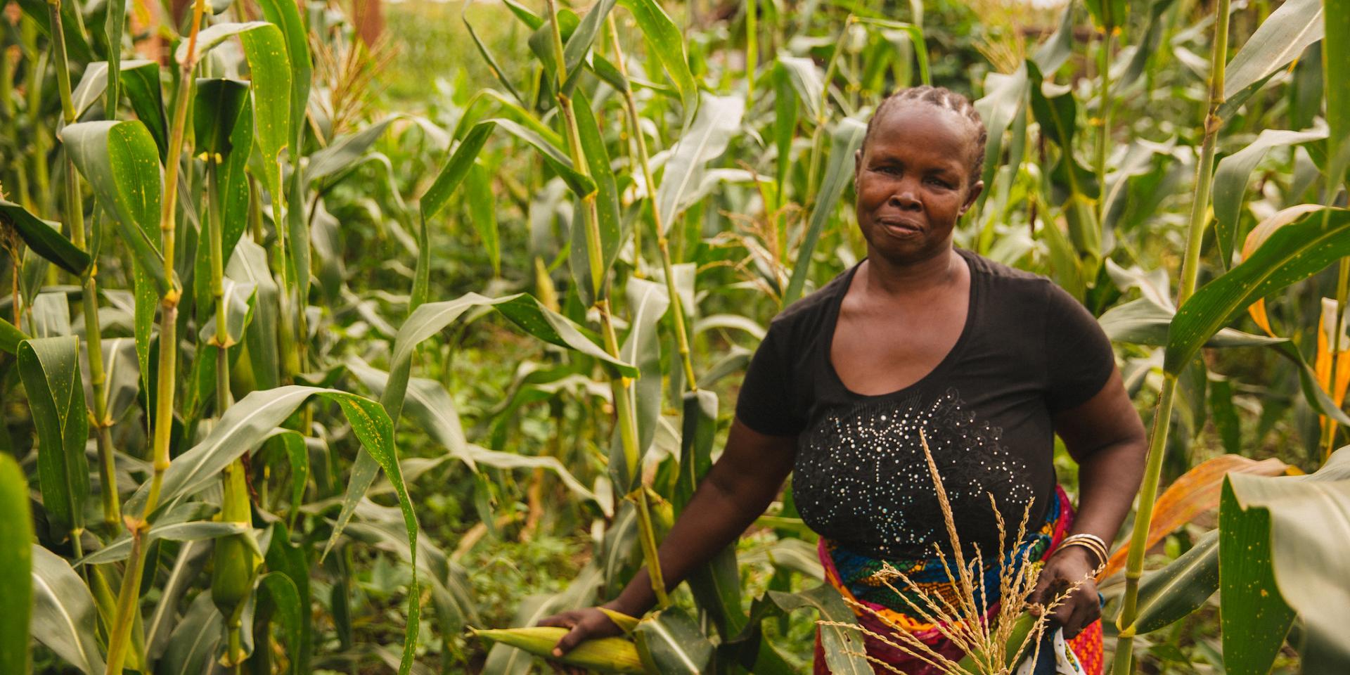 Woman Farmer Standing in a Cornfield in Kilosa, Tanzania