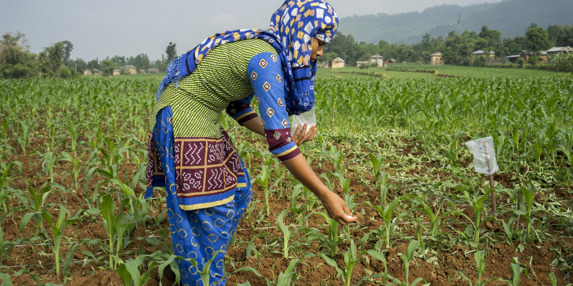 farming