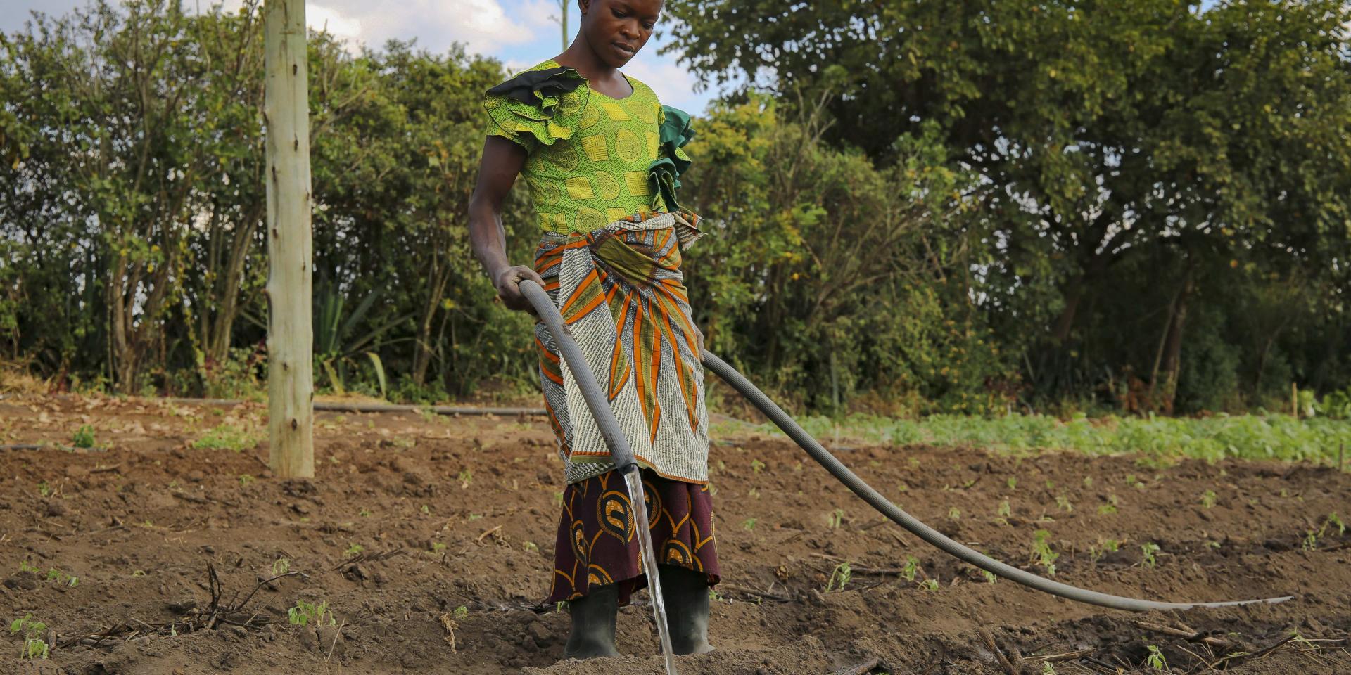 Female farmer irrigating her crops