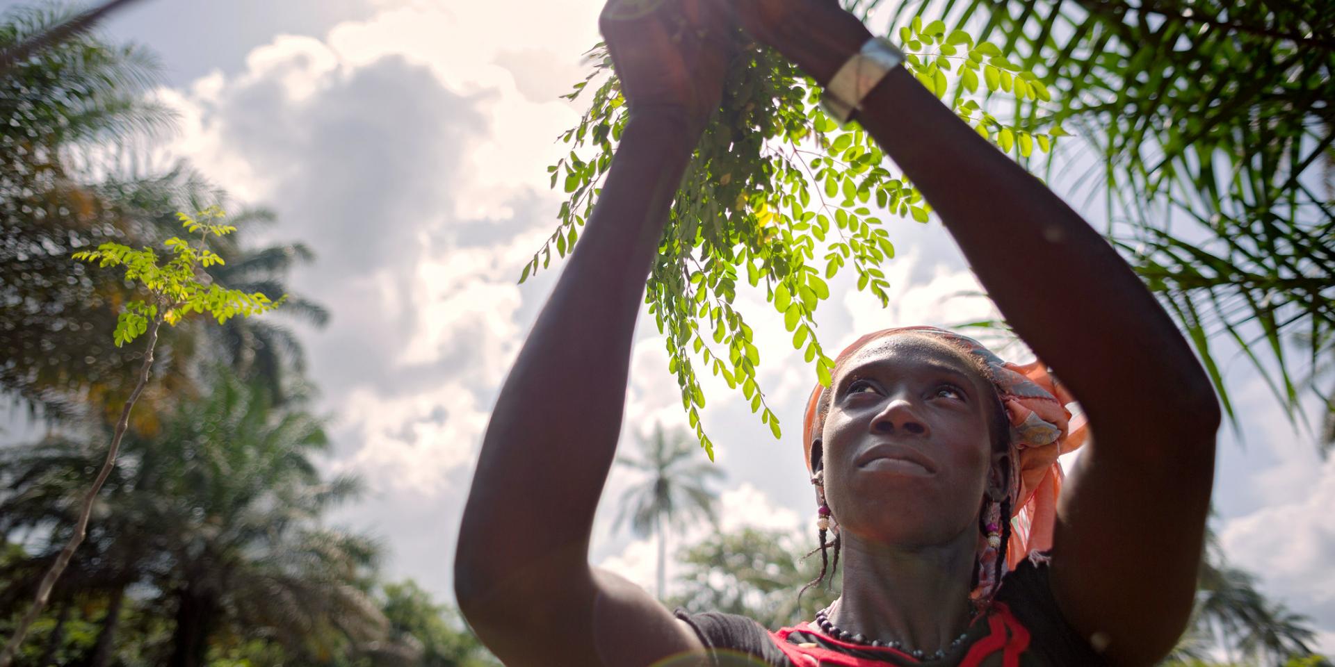 	 UN Women Guinea - Rural Women's Cooperative Generates Income and Improves Community Life