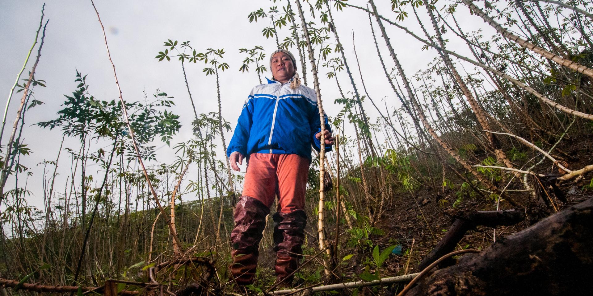 In Ma village, researchers and farmers work together to help farmers build their resilience to beat impacts of climate change, while also improving their opportunities for income generation and a healthier diet.
