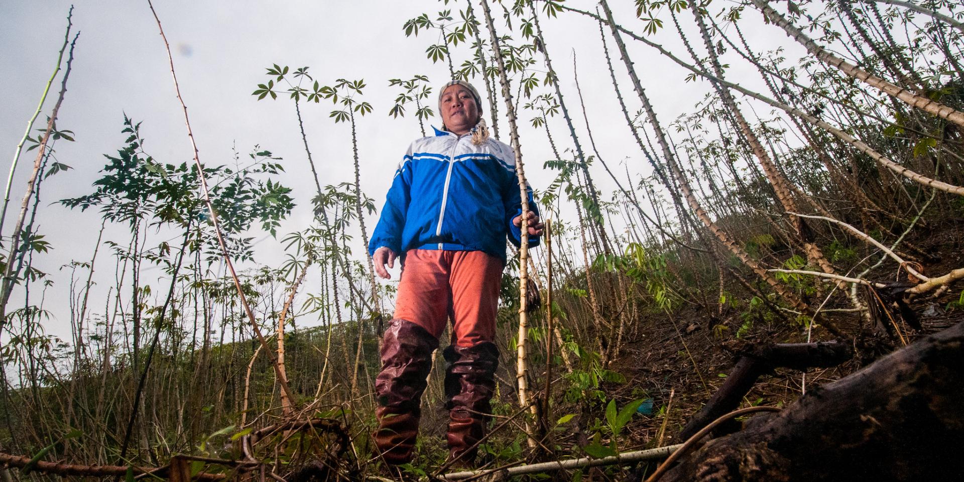 In Ma village, researchers and farmers work together to help farmers build their resilience to beat impacts of climate change, while also improving their opportunities for income generation and a healthier diet. 