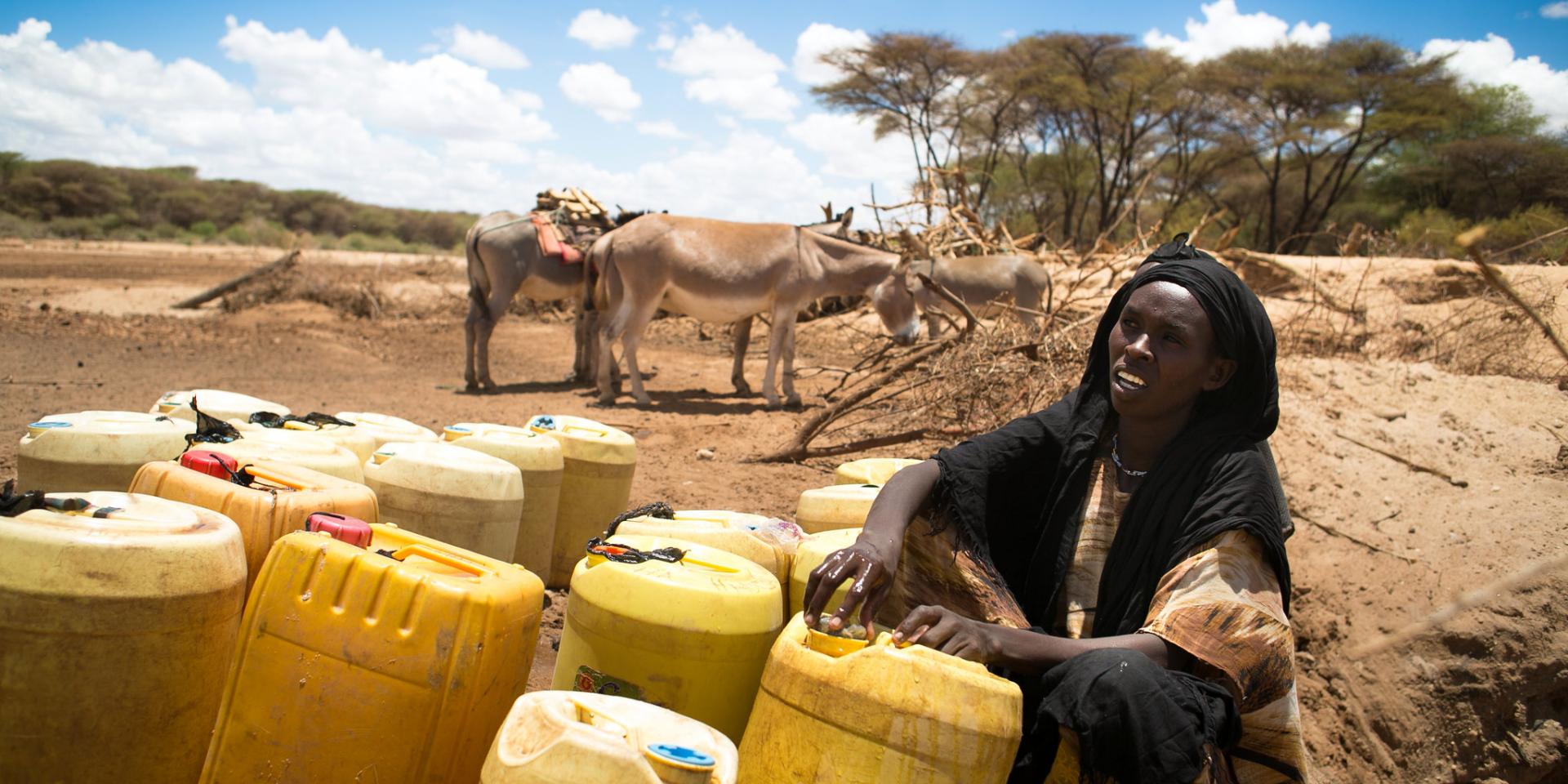 Drought in Kenya's Ewaso Ngiro river basin