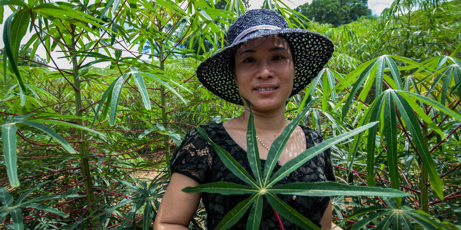 A farmer in her Cassava plantation