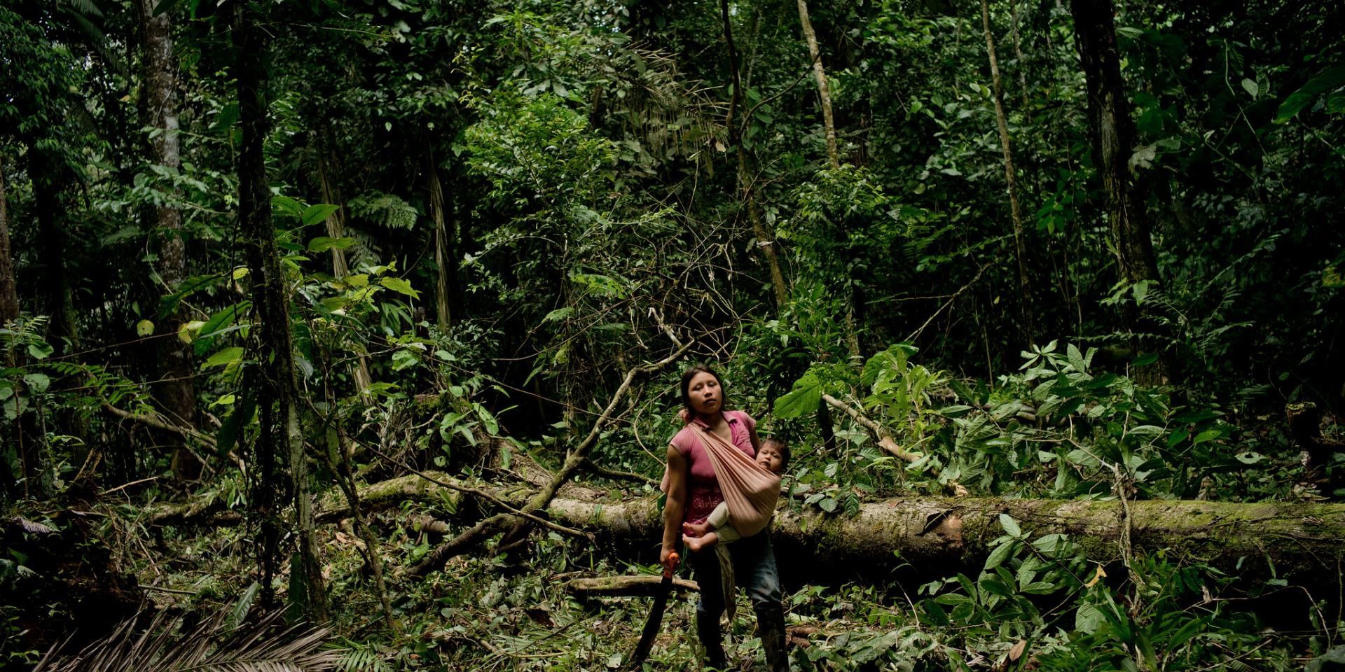 A Kichwa woman takes a rest from cutting down the forest. They are clearing an area to sow corn to feed their livestock near the Napo River in Orellana, Ecuador. 