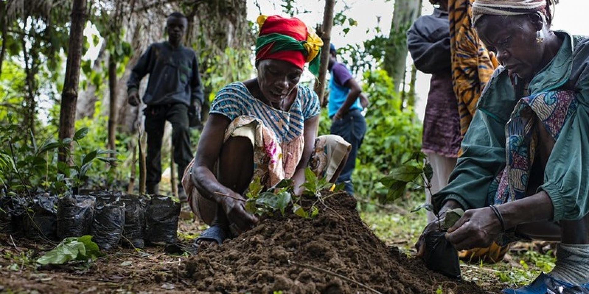 A group of people working in a field