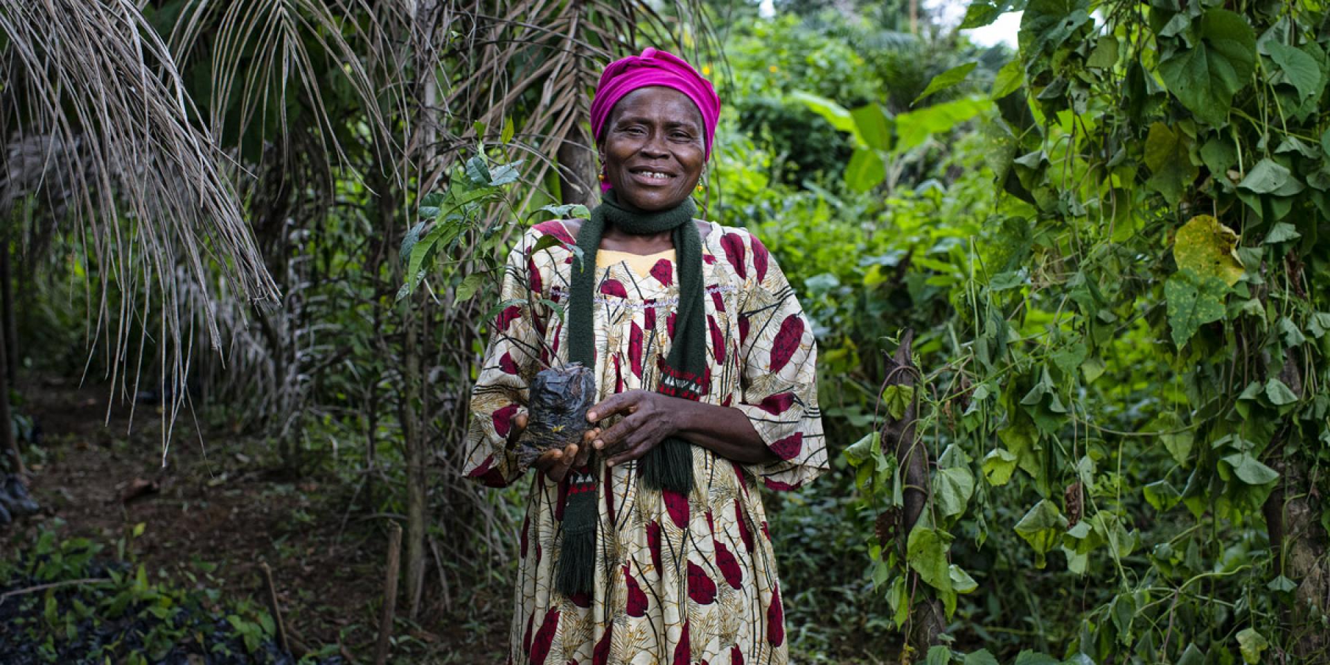 Ugwono Pauline plants gnetum (okok) seedlings in the village of Minwoho, Lekié, Center Region, Cameroon. Photo by Ollivier Girard/CIFOR-ICRAF