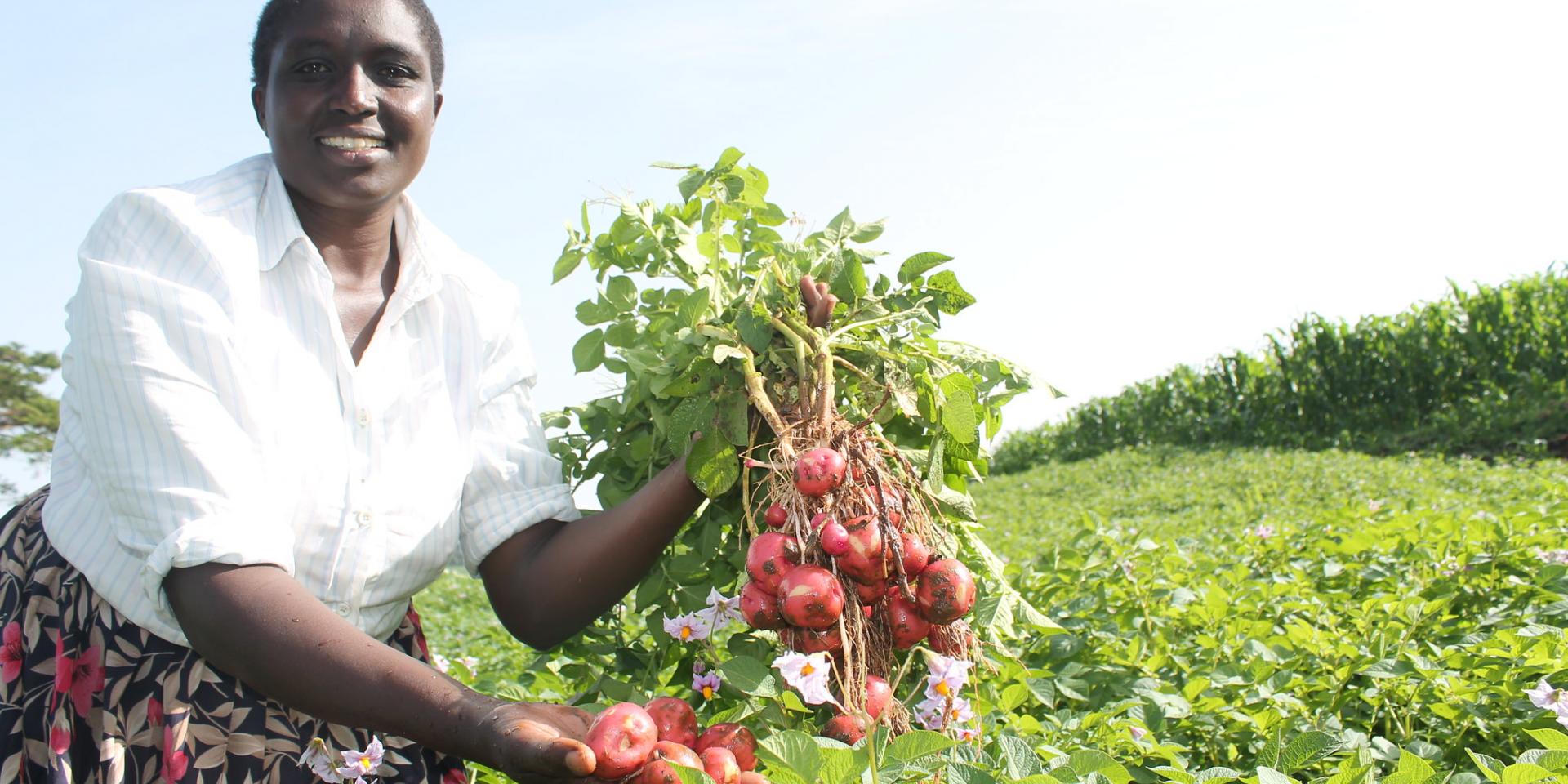 Jane Cherotich in her seed farm