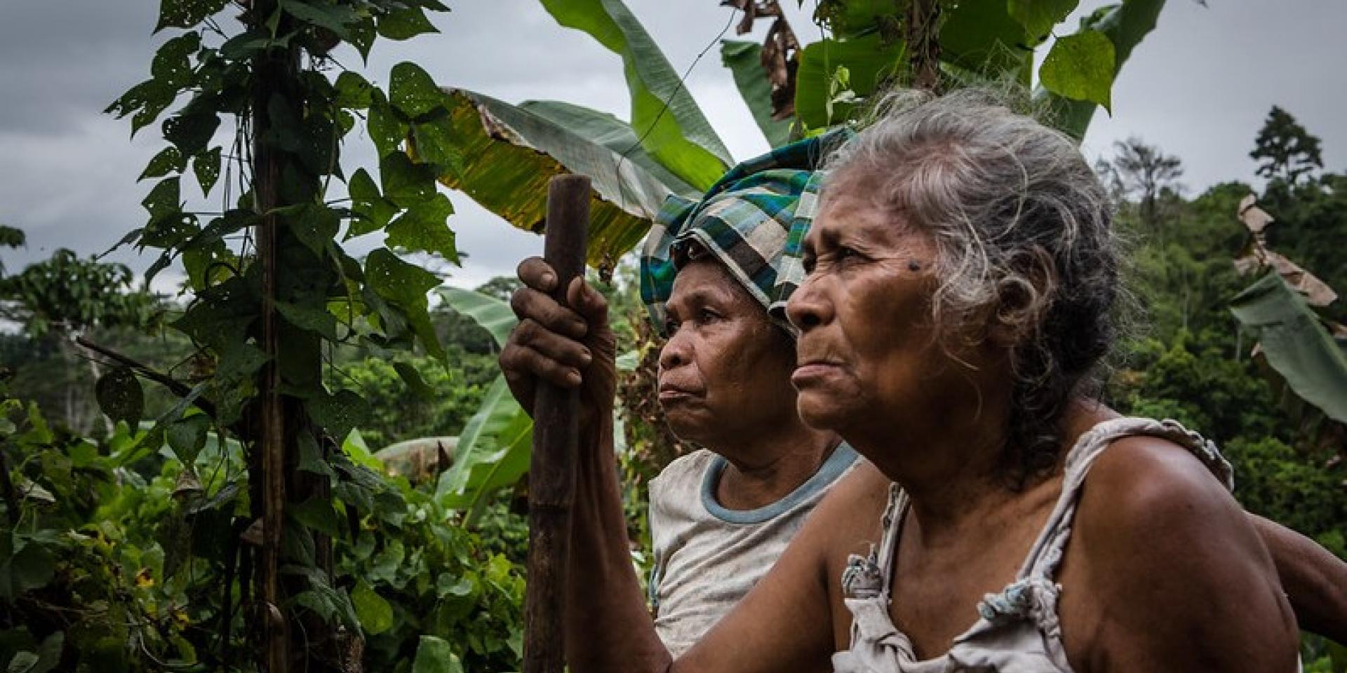 Women farmers in the fields