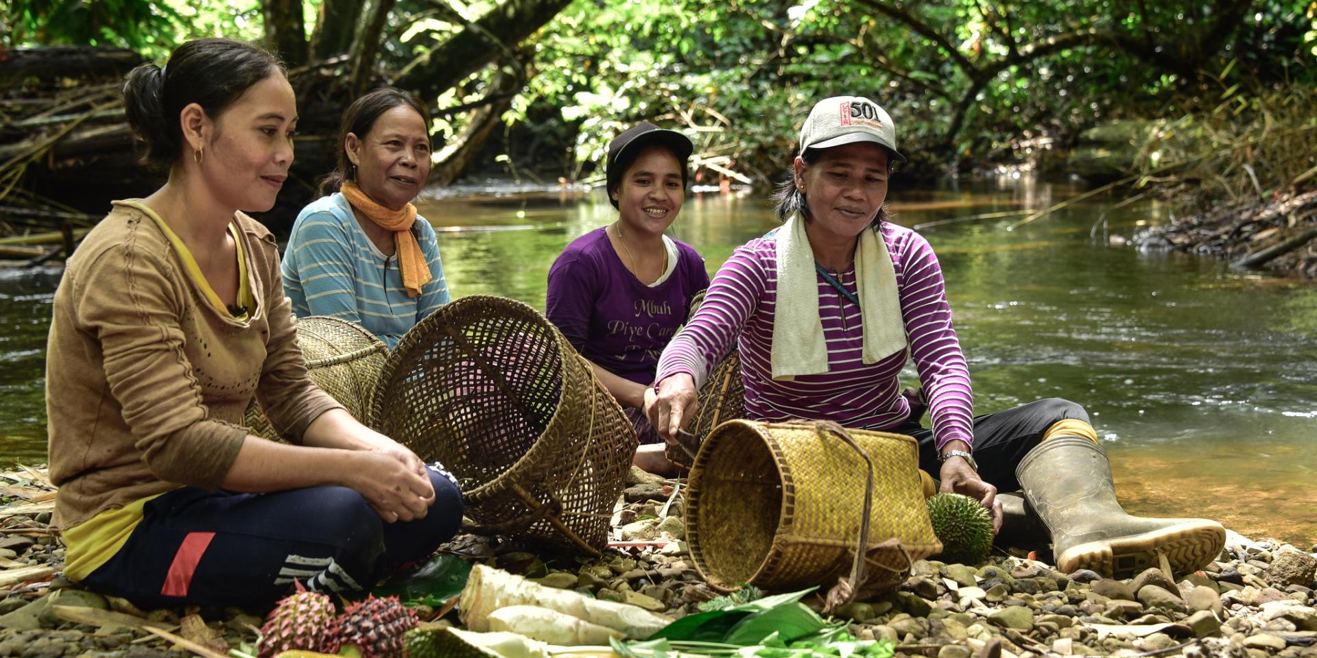Women collectors on the bank of a river in Kapuas Hulu