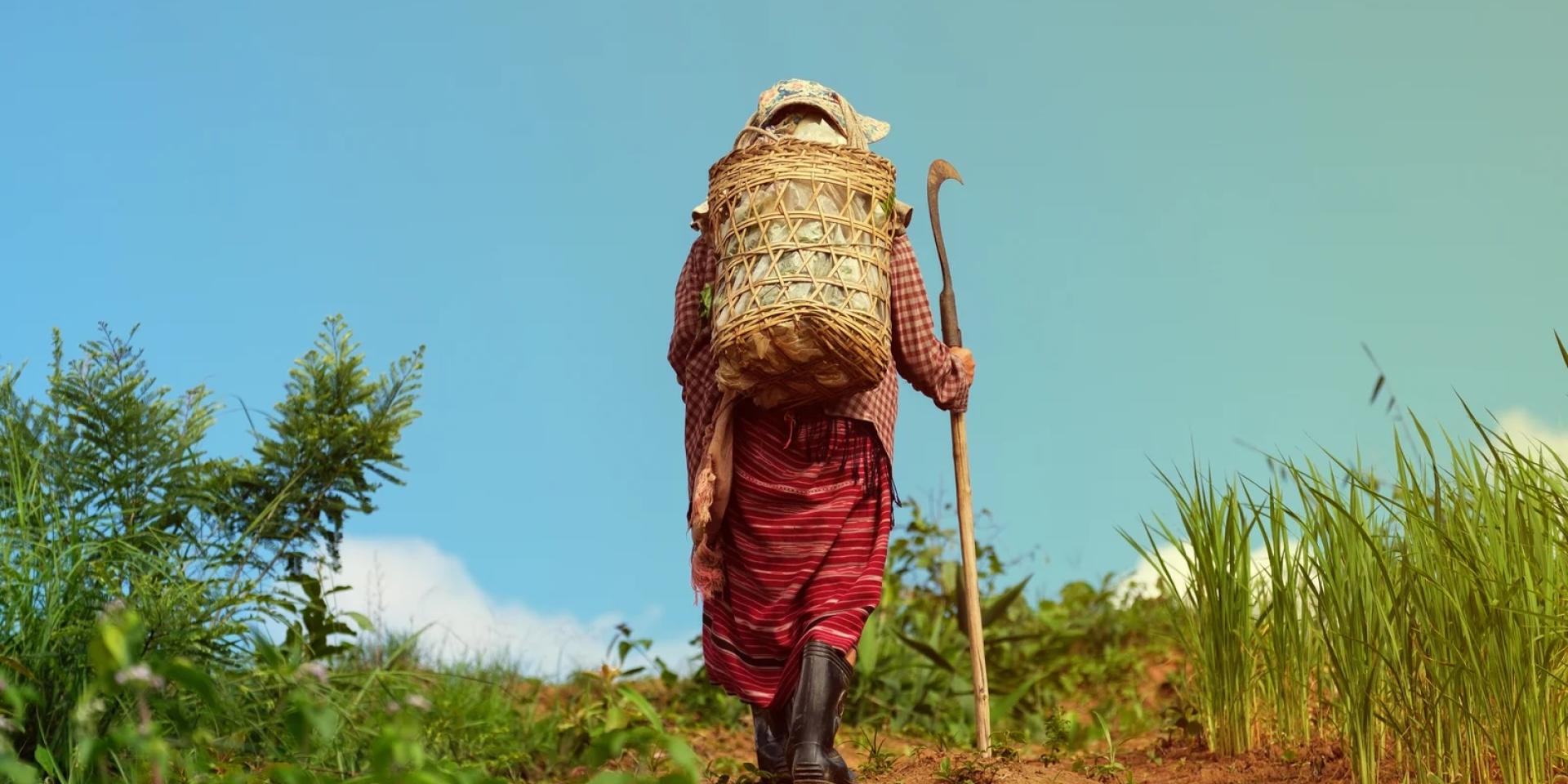 Woman carrying knife walks up the mountain
