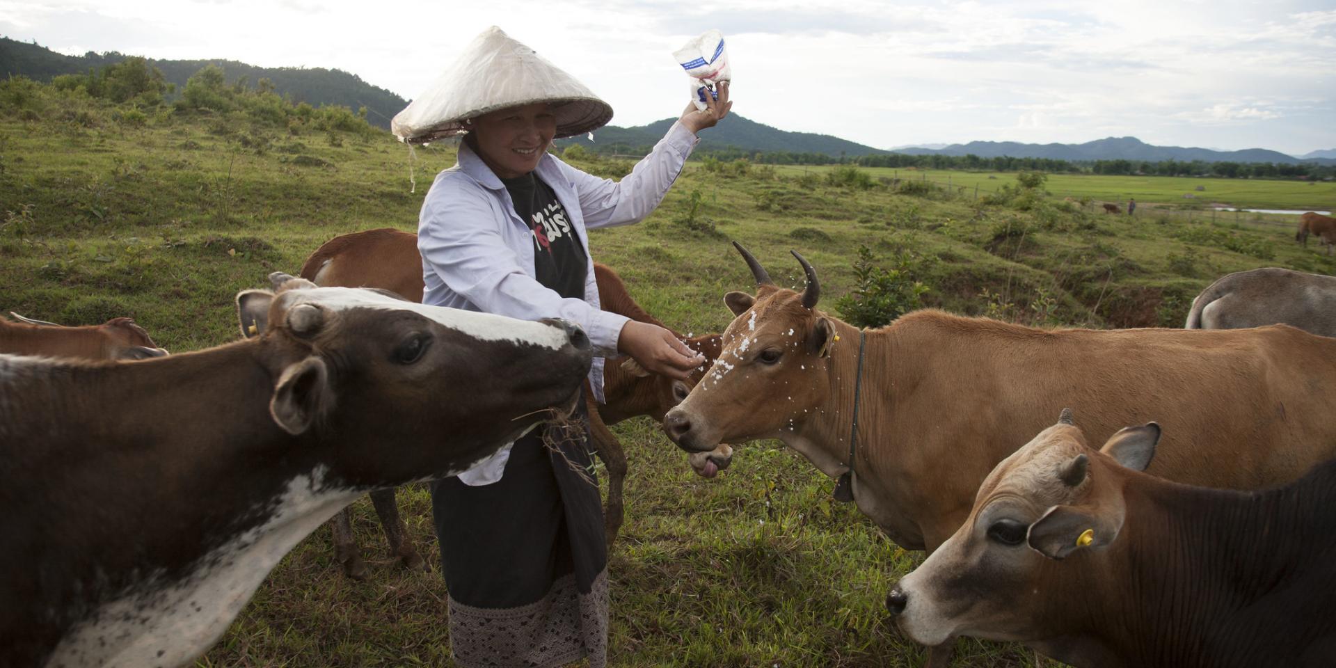 A cattle farmer