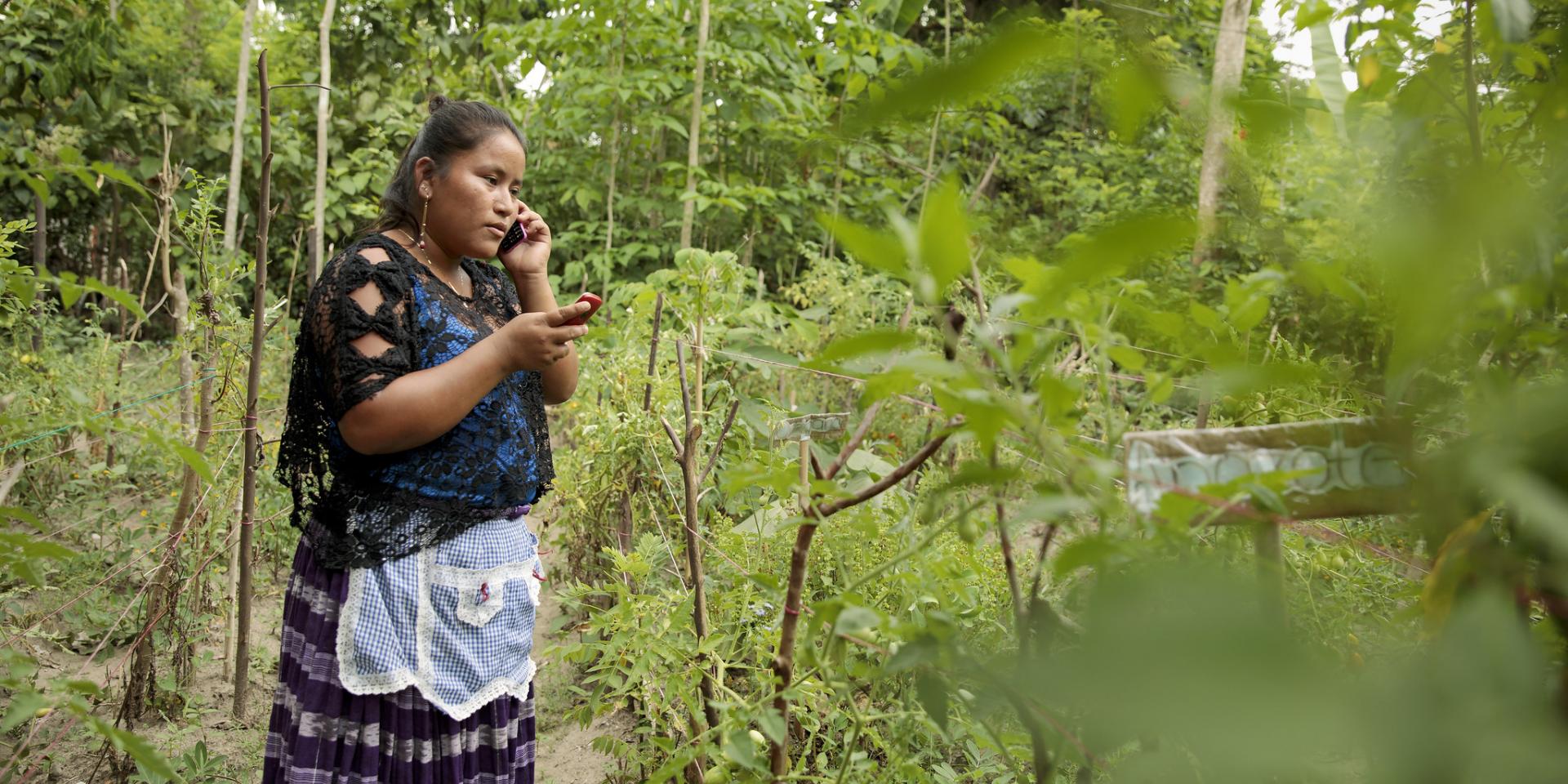Guatemala - Rural Women Diversify Incomes and Build Resilience