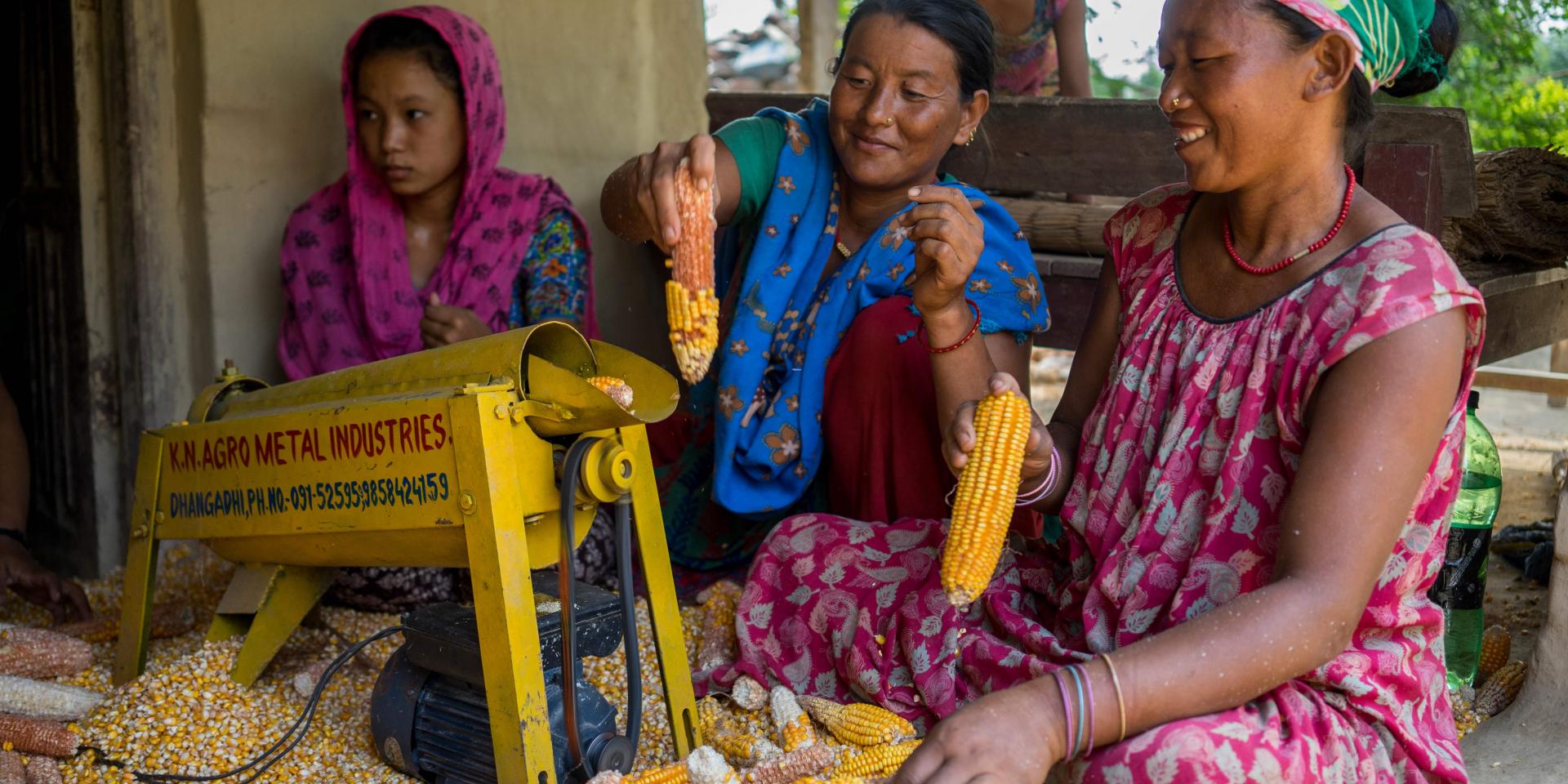 Women farmers shelling hybrid maize in Nepal