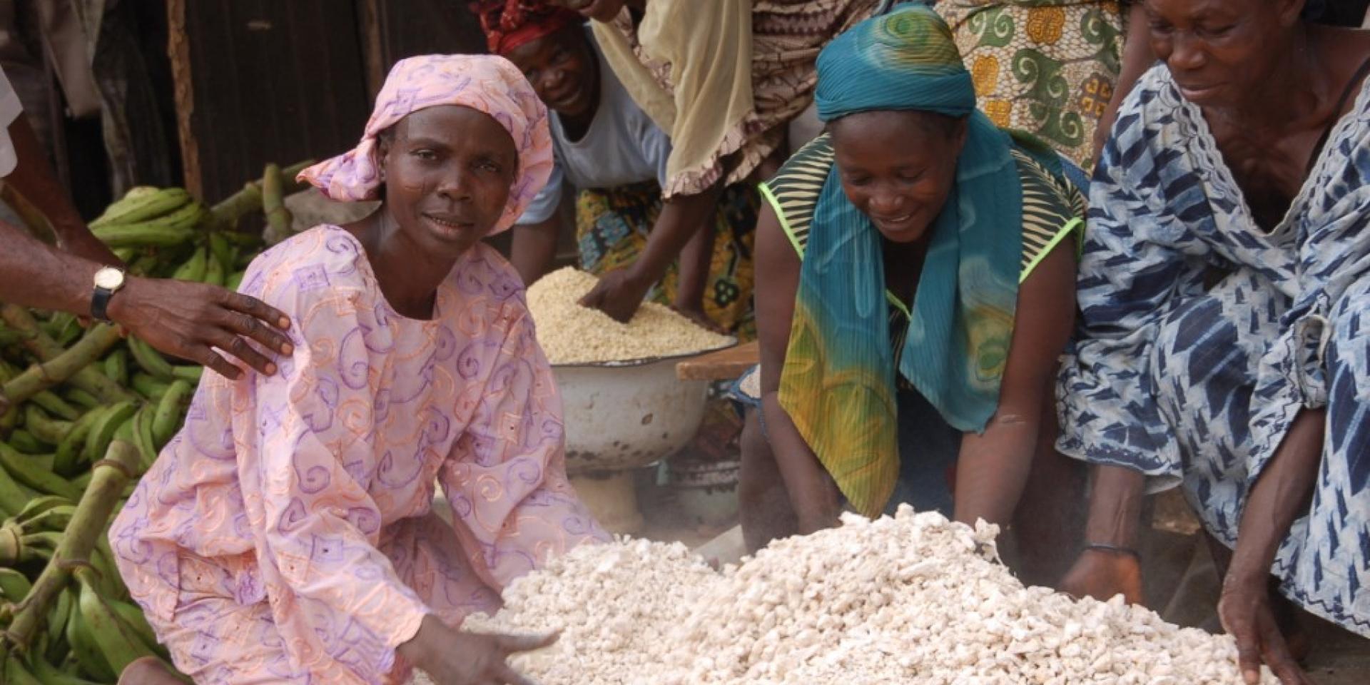 Cassava in Nigeria