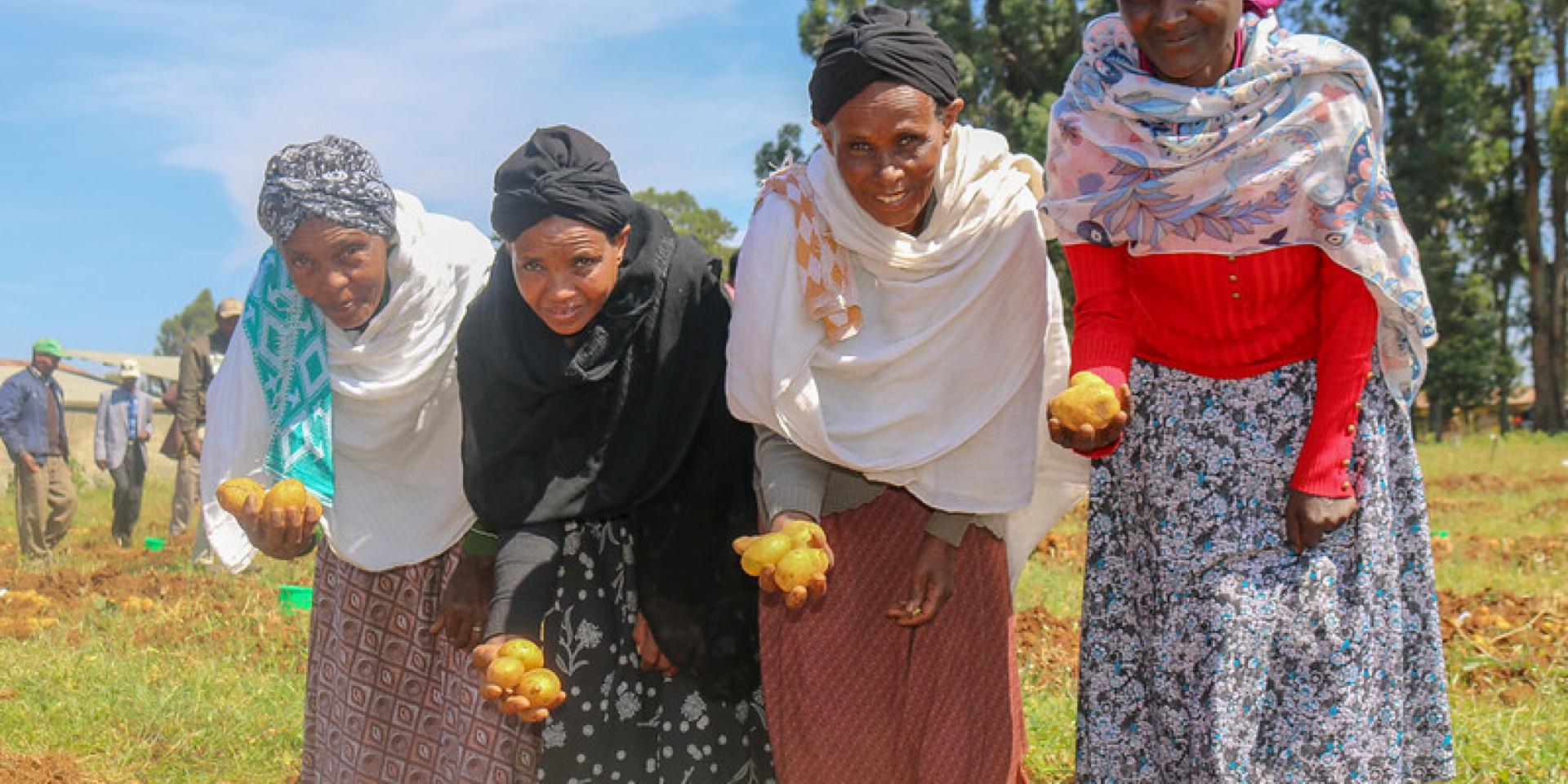 Women holding potatoes in a field