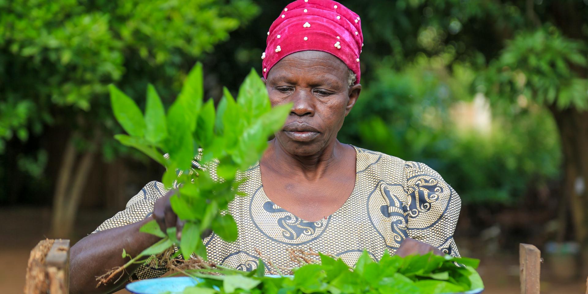 Josephine Atek is a 65-year-old vendor and farmer from the Bardege Division in Gulu District, who produces her own food and sometimes buys from the market.