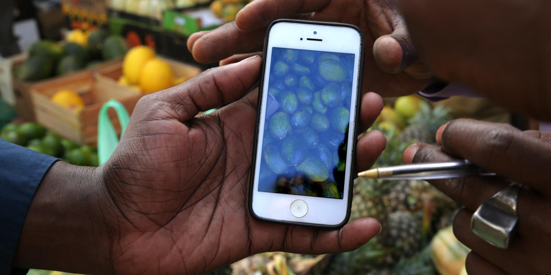 Fruit seller shows his watermelon produce on his cell phone.