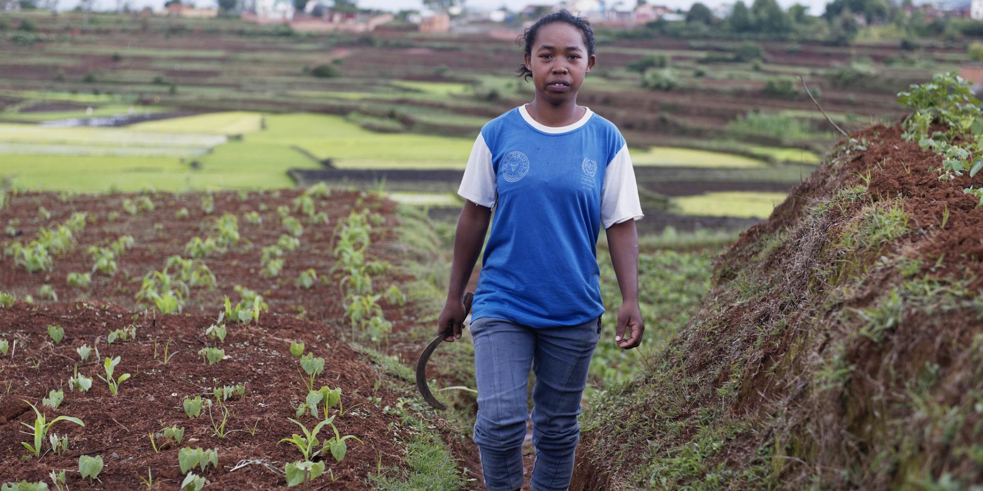 Honeycomb Leggings South Africa Cup  International Society of Precision  Agriculture