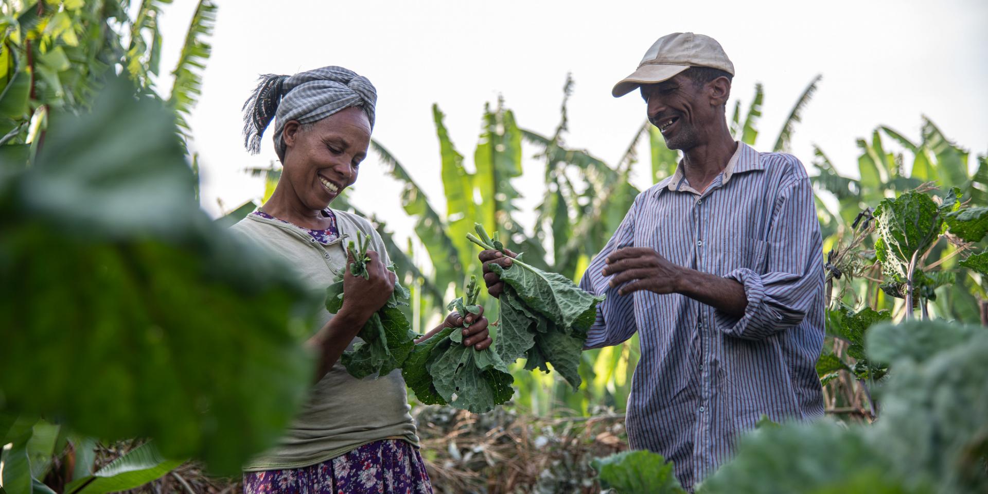 Askale Lombamo and her husband Abamo Lombamo in their garden in Doyogena District, Ethiopia