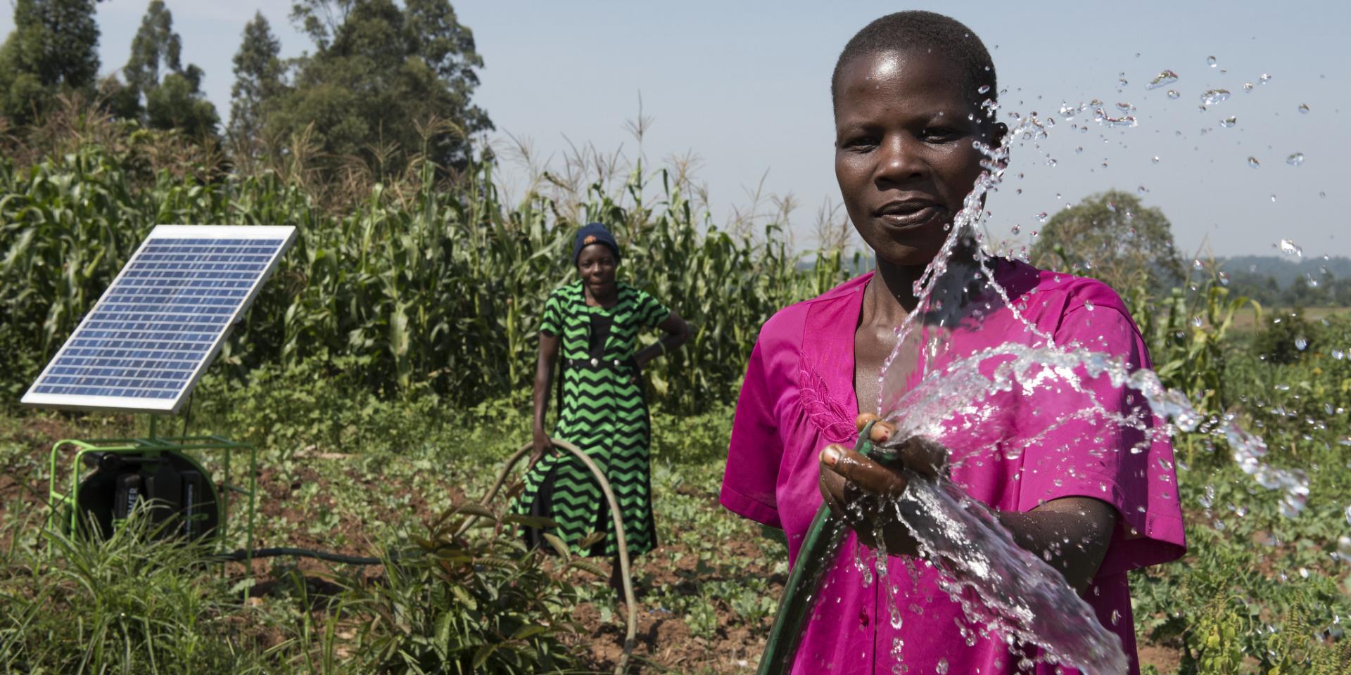 Irrigating a farm using solar-powered water pump, Kenya.