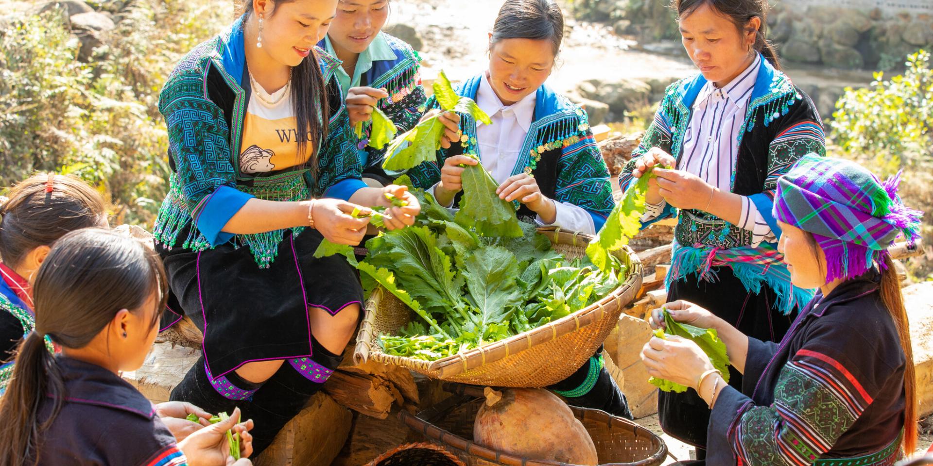 Indigenous Seed Systems in Northwestern Vietnam