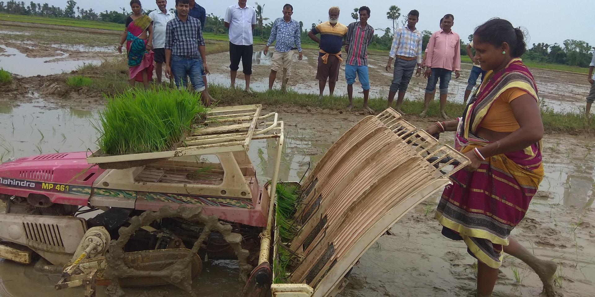 A women learning mechanical transplanting at Puri_Odisha