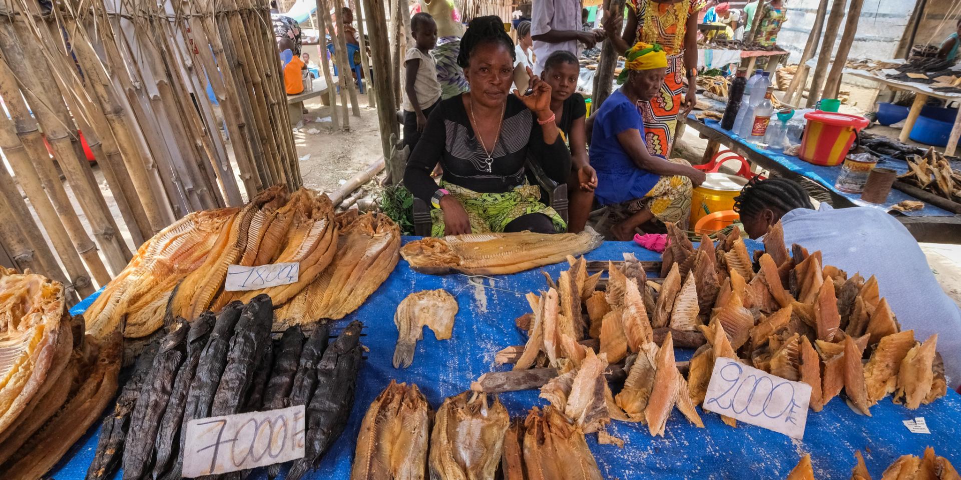 Dried fish at the weekly market of Yanonge - DRC
