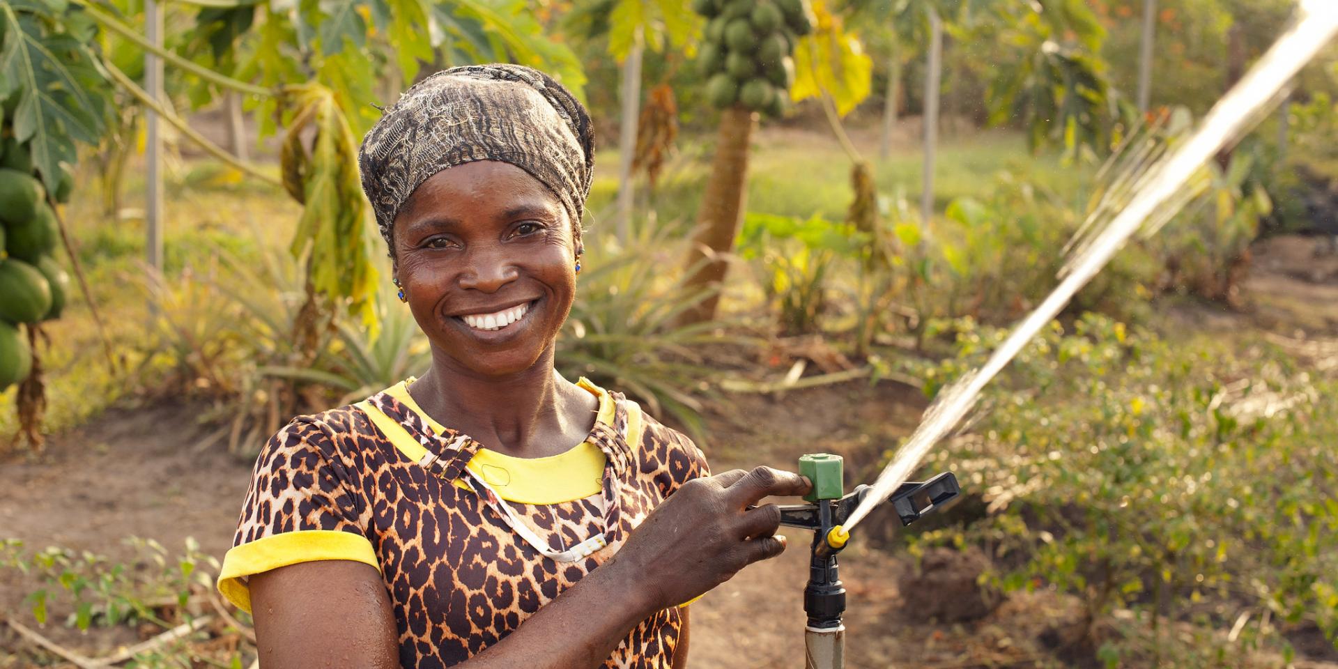 Sprinkler irrigation in the Northern Region of Ghana. Photo credit: Hamish John Appleby / IWMI