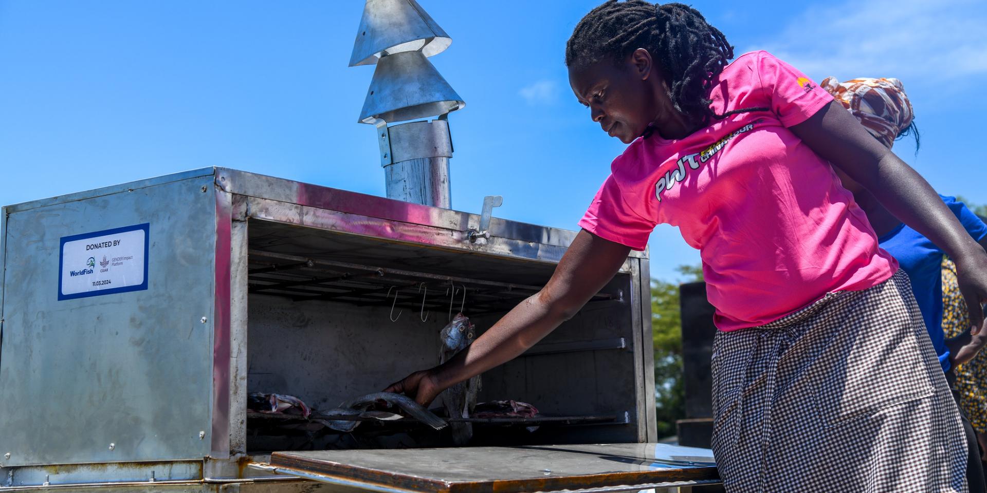 Woman placing fish inside metal smoking kiln