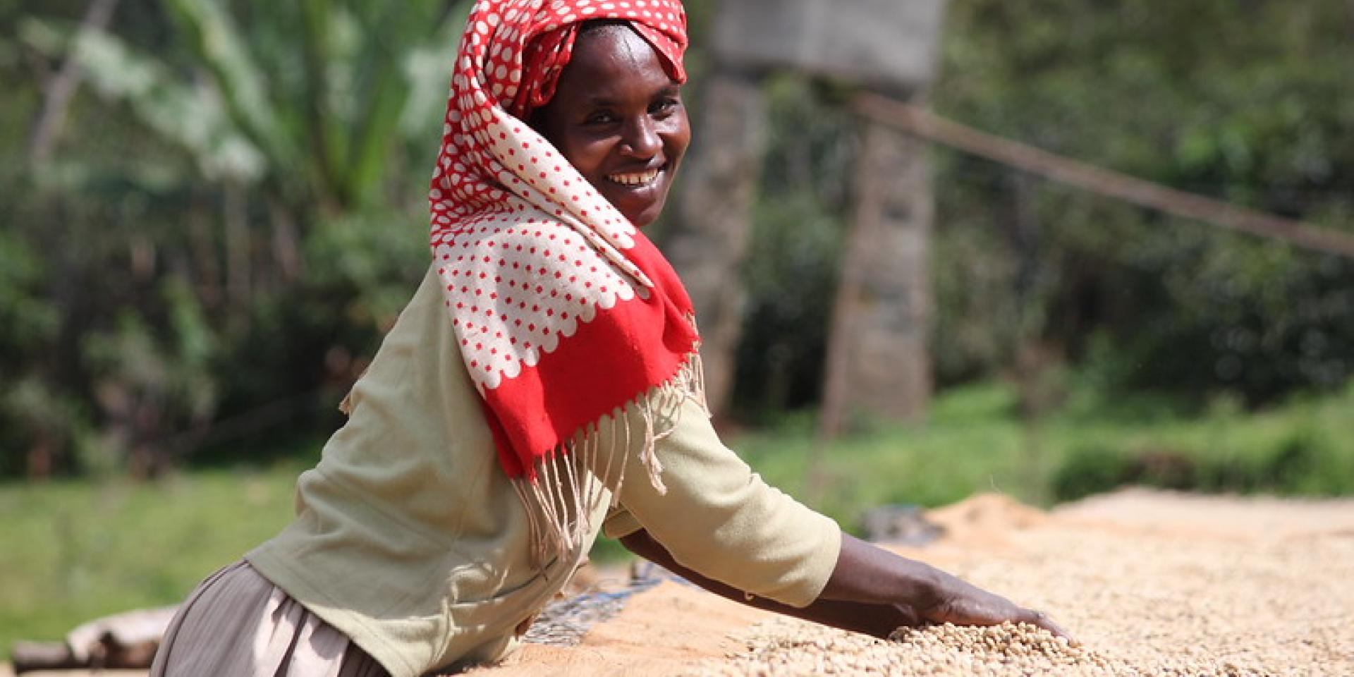 Farmer drying harvest in the sun