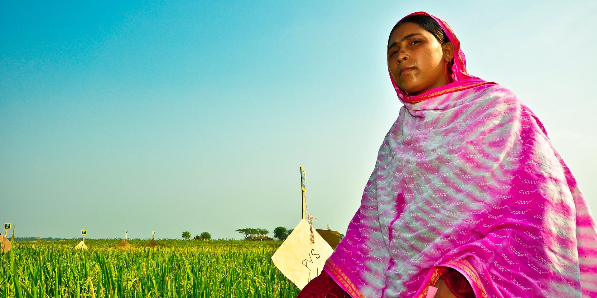 Woman on a rice farm